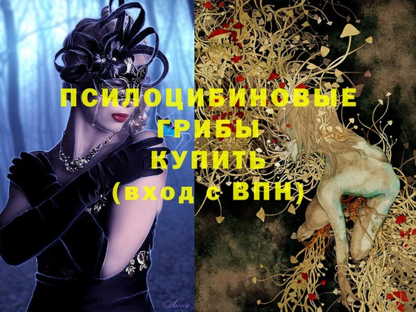МДПВ Алексин