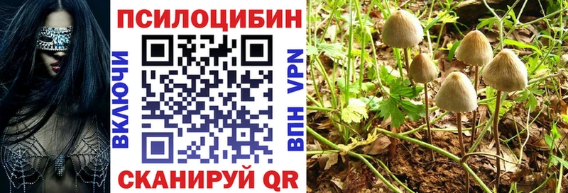 Псилоцибиновые грибы GOLDEN TEACHER  купить   Кемерово 