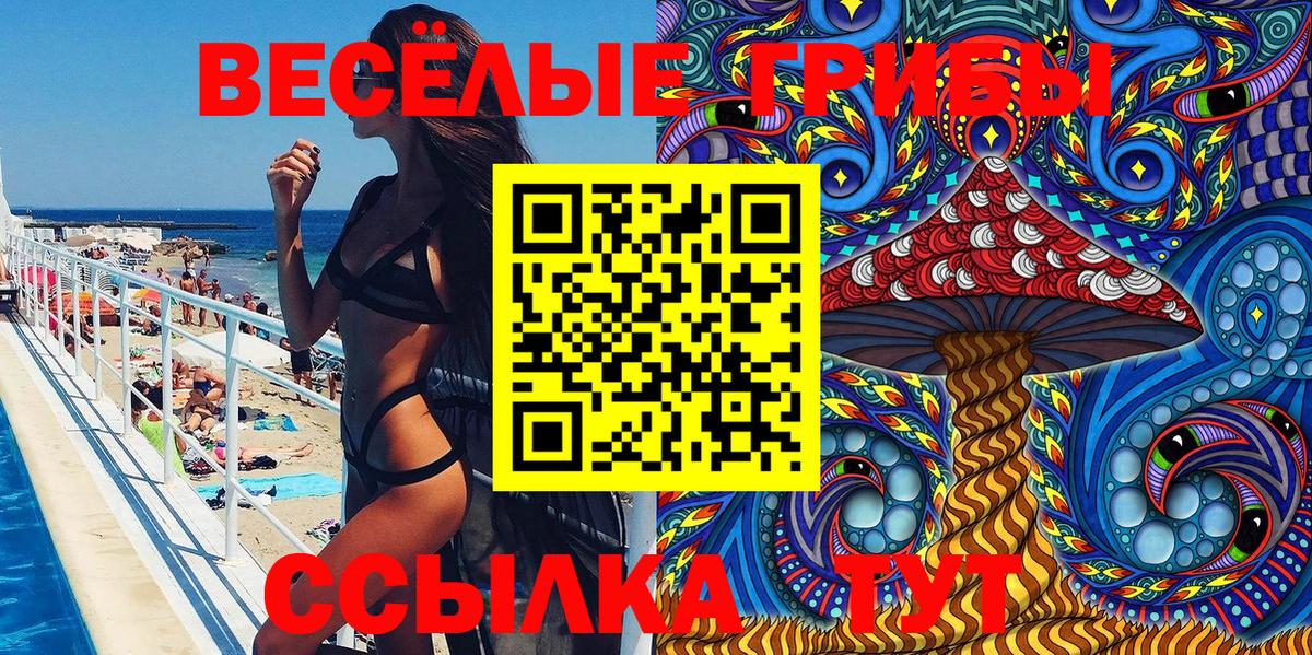 Псилоцибиновые грибы Cubensis Кемерово